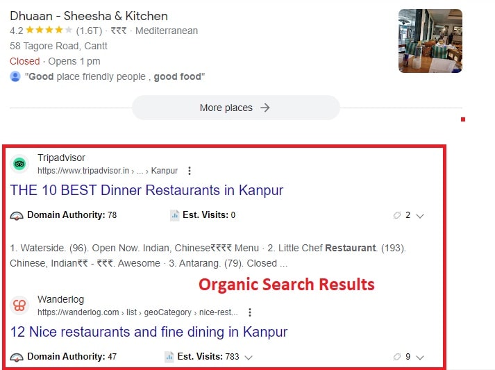 Organic Search Results